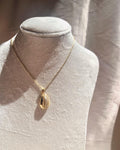 Sparkling Shell Necklace